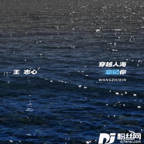 穿越人海忘记你的专辑