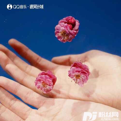 生命是一场绚烂的浪费AllTheWayOut