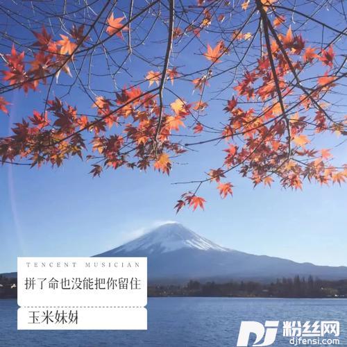 拼了命也没能把你留住（DJ默涵版）的专辑