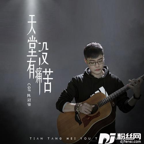 天堂没有痛苦的专辑
