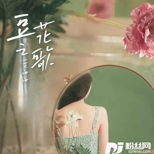豆花之歌的专辑