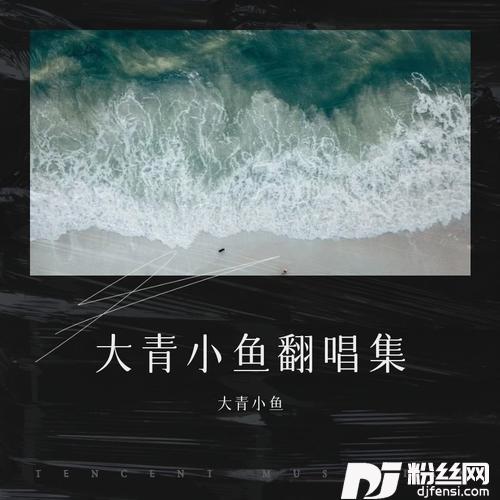 漂泊的人cover:东子陌