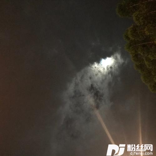 错把路灯当月光cover:小田音乐社|尹昔眠