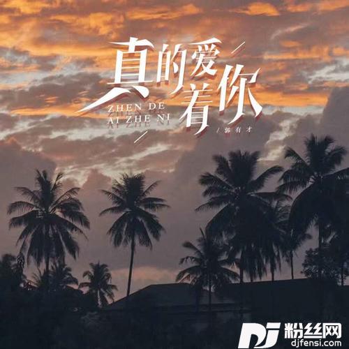 真的爱着你有才版的专辑