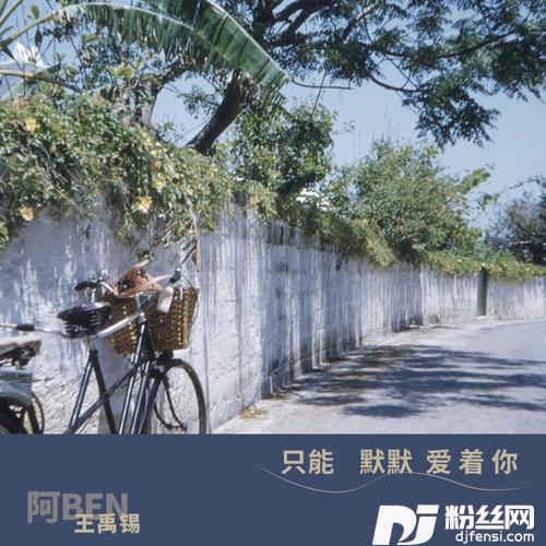 只能默默爱着你