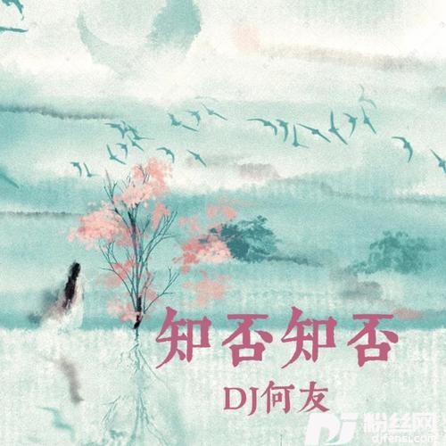 知否知否DJ何友remix