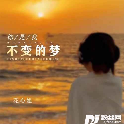 你是我不变的梦的专辑