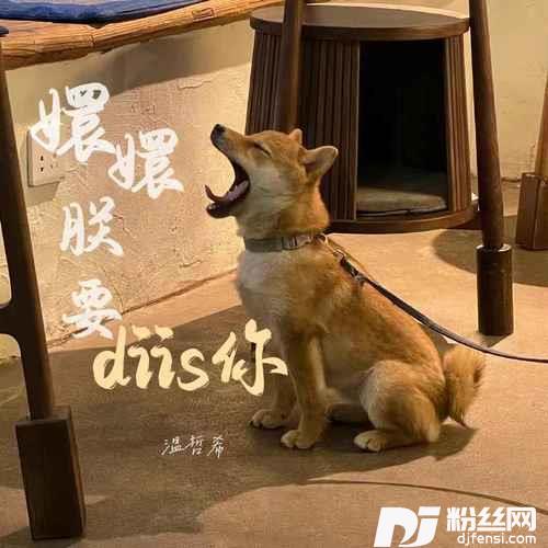 嬛嬛朕要diss你