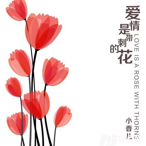 爱情是带刺的花
