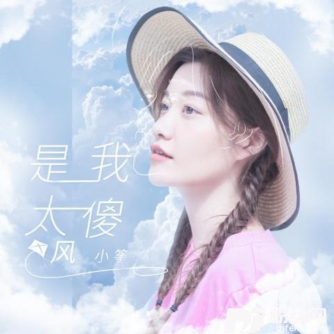 是我太傻DJ名龙版