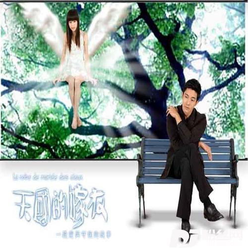 花的嫁纱的专辑