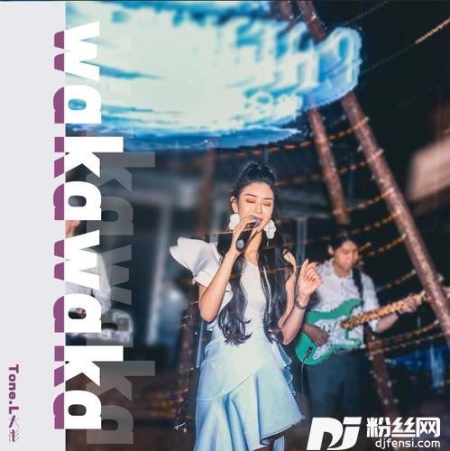 WakaWaka世界杯主题曲DJ京仔版