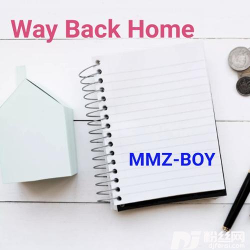 WayBackHome