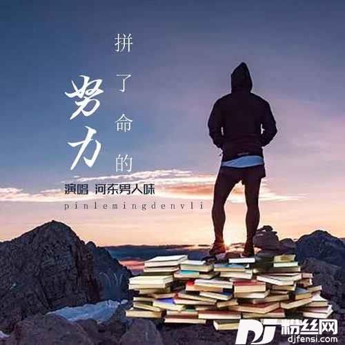 拼了命的努力DJ默涵版的专辑