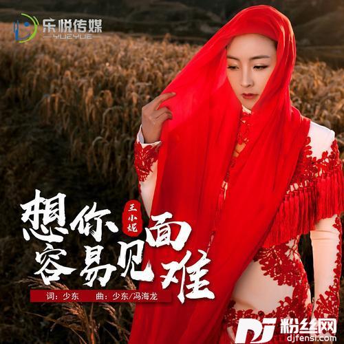 想你容易见面难的专辑