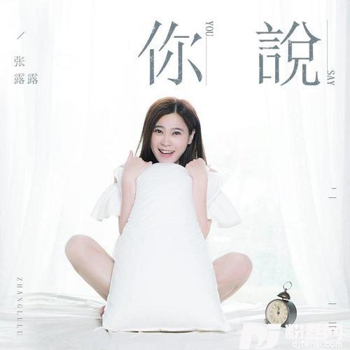 你说的专辑
