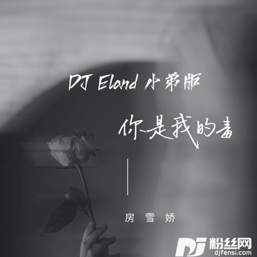 你是我的毒DJEland小弟remix