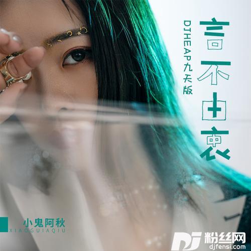 言不由衷DJ版的专辑