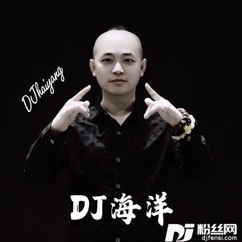 飞的更高Remix