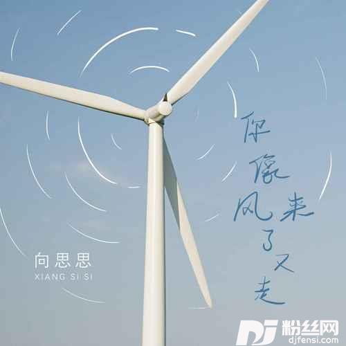 你像风来了又走的专辑