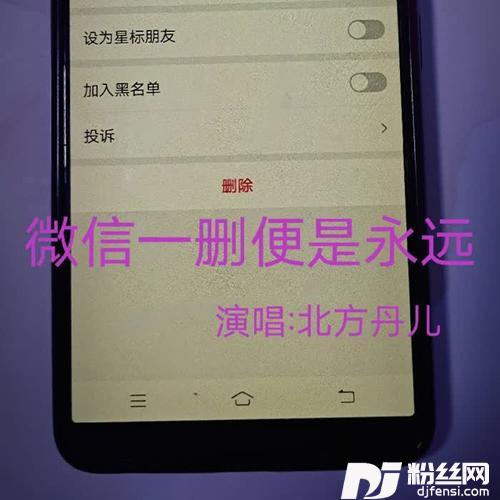 微信一删便是永远的专辑