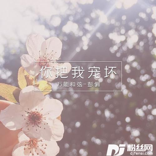 你把我宠坏