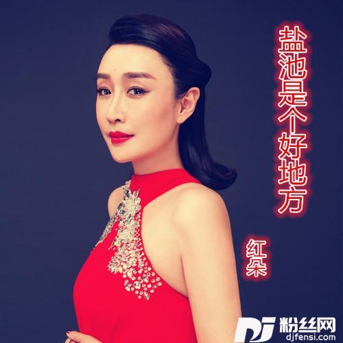 盐池是个好地方