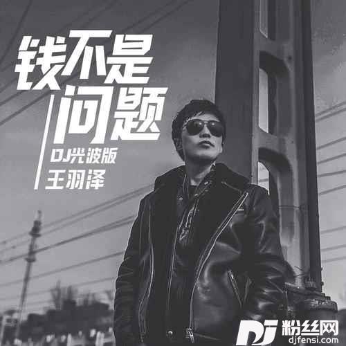 钱不是问题DJ光波版的专辑
