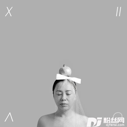 怀疑女士的专辑