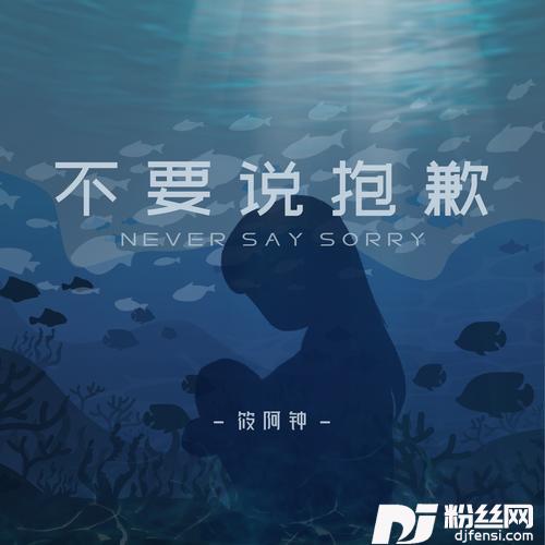 不要说抱歉（DJEva版）