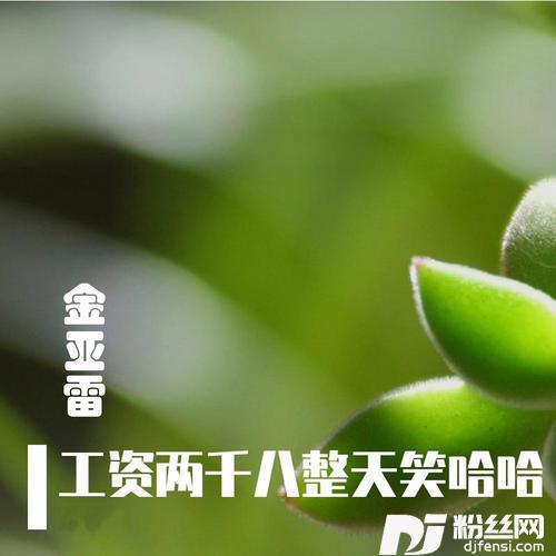 娘子啊哈你说开销咋这么大的专辑
