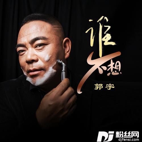 谁不想DJ何鹏版的专辑