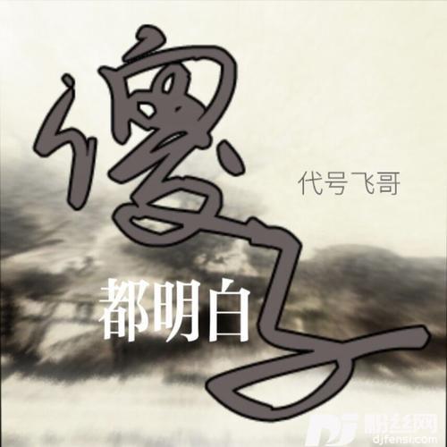 傻子都明白（撕心裂肺版）的专辑