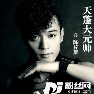 天蓬大元帅DJ版