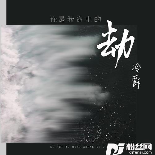 你是我命中的劫
