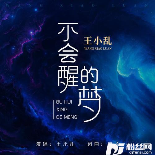 不会醒的梦DJ伟然版