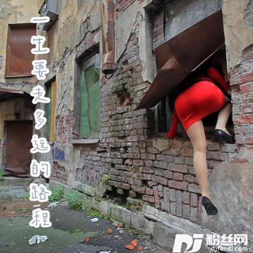 德云女孩的专辑