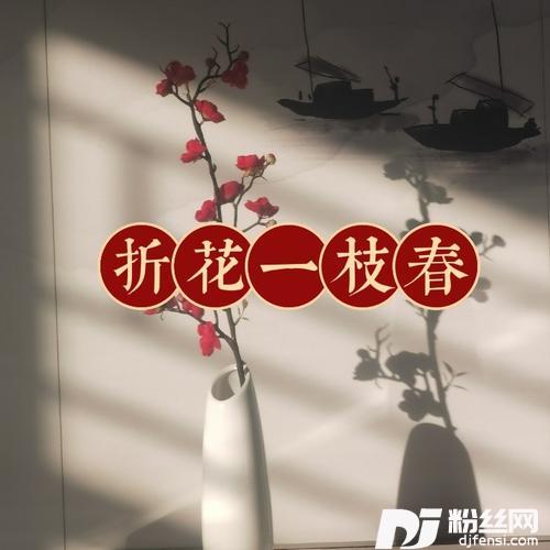 折花一枝春（DJ版）的专辑