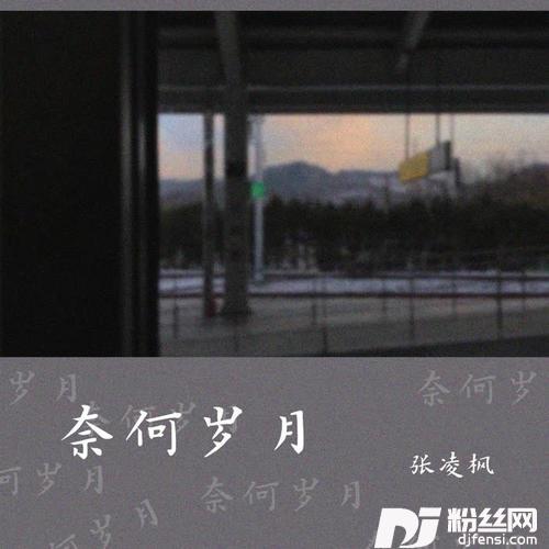 奈何岁月