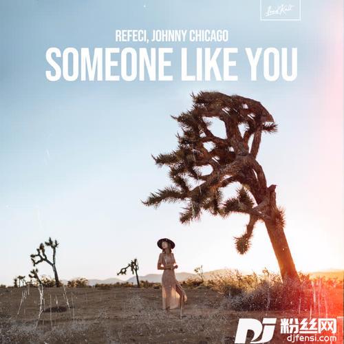 SomeoneLikeYou