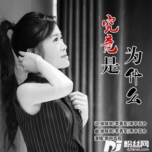 究竟是为什么DJ默涵版