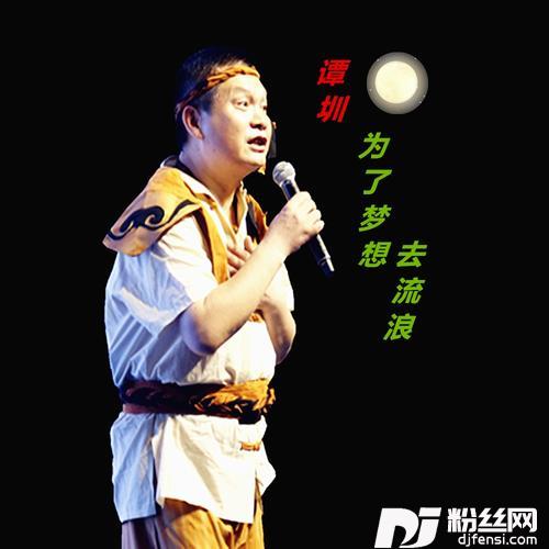 为了梦想去流浪
