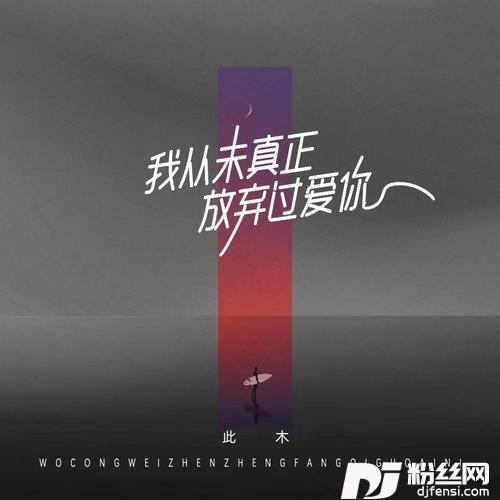 我从未真正放弃过爱你的专辑