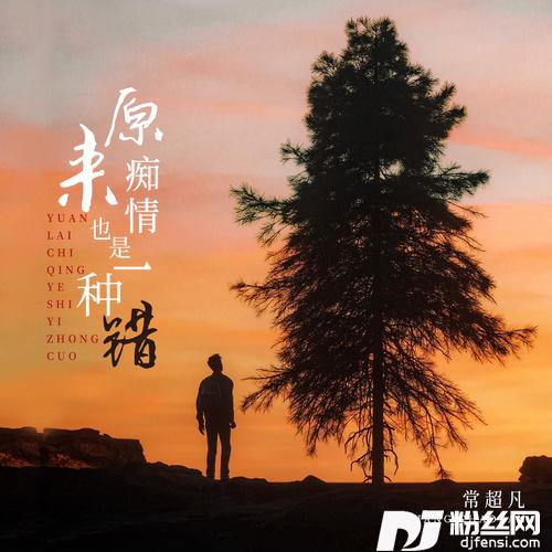 原来痴情也是一种错