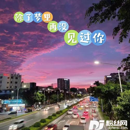 除了梦里再没见过你cover:赵洋的专辑