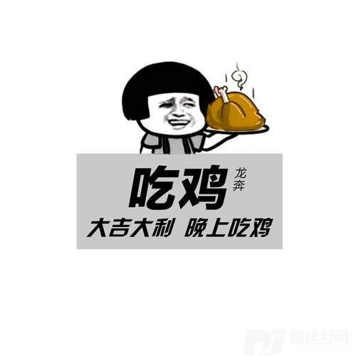 吃鸡DJ版