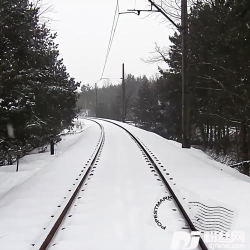 雪花车的专辑