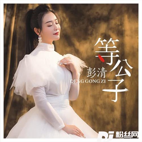 等公子DJ版的专辑