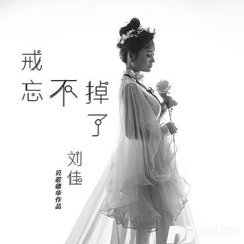戒不了忘不掉