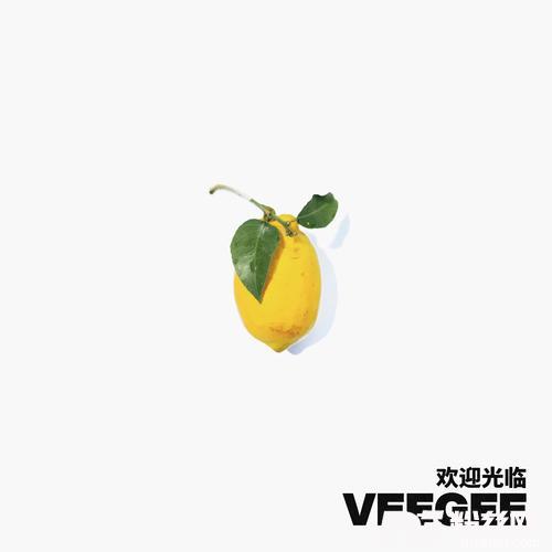 欢迎光临